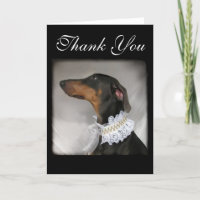 Un chien élégant dit merci