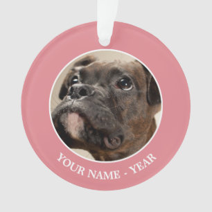 Un chiot de Brindle Boxer qui regarde curieusement