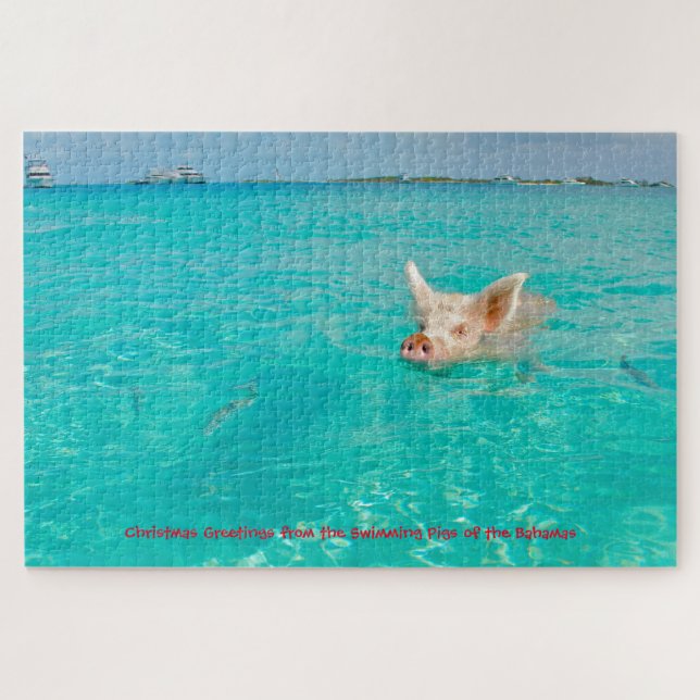 Un cochon nage aux Bahamas. Puzzle (Horizontal)