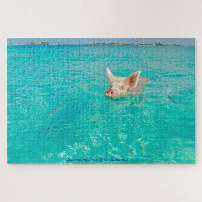 Un cochon nage aux Bahamas. Puzzle (Horizontal)