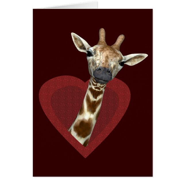Un Coeur Pour Les Giraffes (Devant)