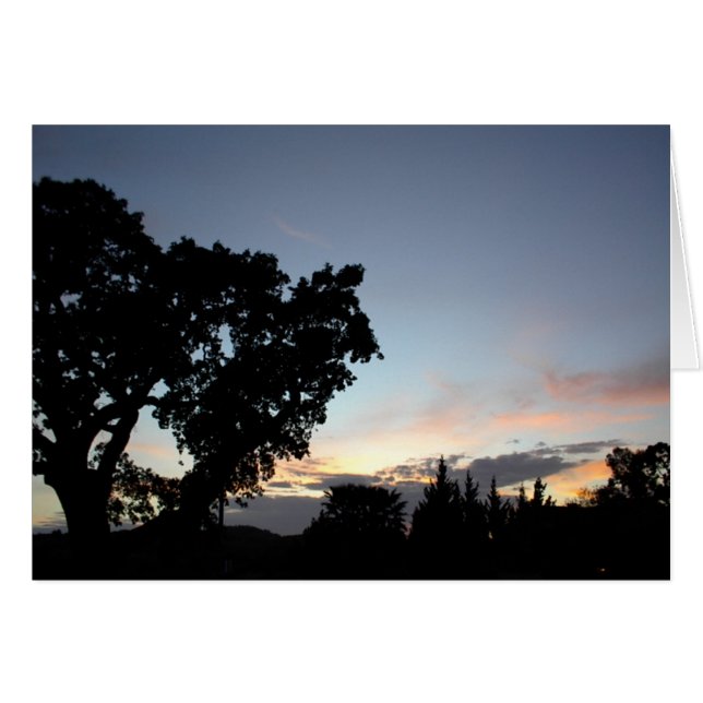 Un coucher de soleil d'avril derrière un chêne loc (Devant horizontal)