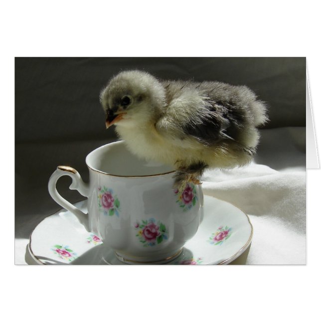 Un coup de pouce dans un Teacup (Devant horizontal)