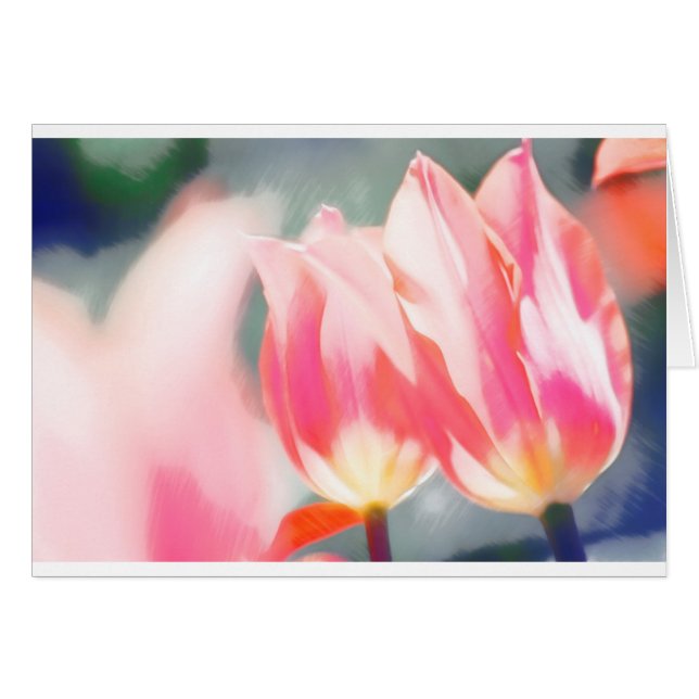 Un croquis de duo de Tulipa (Devant horizontal)