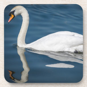 Un cygne et ses dessous de verre en plastique durs