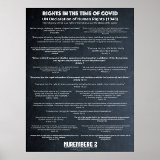 UN Declaration On Human Rights 1948 Large Poster