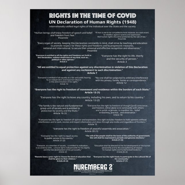 UN Declaration On Human Rights 1948 Large Poster (Devant)