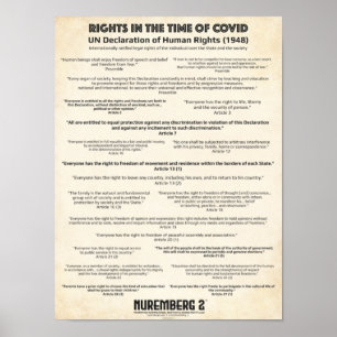 UN Declaration On Human Rights 1948 X Small Poster