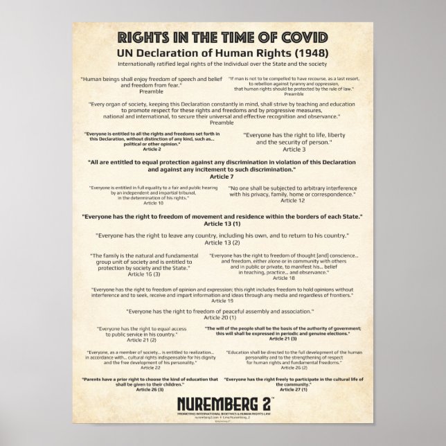 UN Declaration On Human Rights 1948 X Small Poster (Devant)