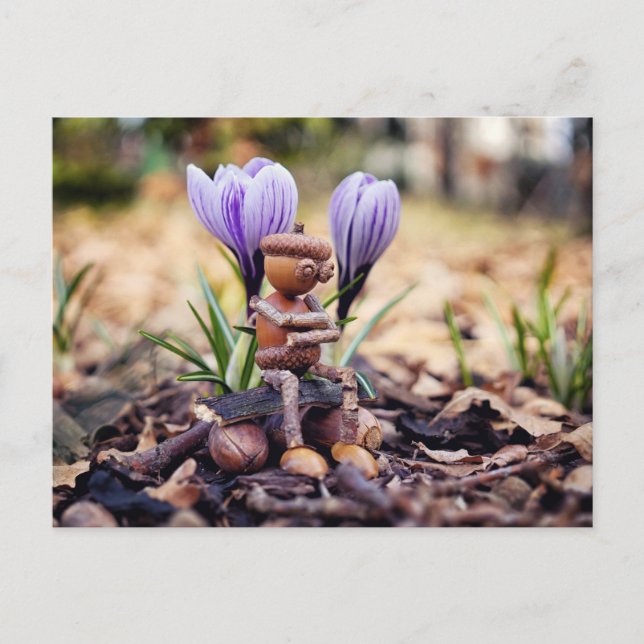 Un elfe d'Acorn attend la carte postale du printem (Devant)