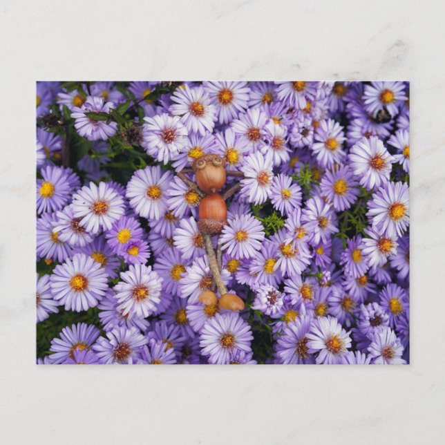 Un elfe de maïs dans la carte postale des fleurs (Devant)