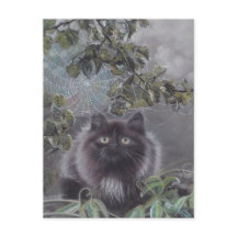Un endroit calme - Carte postale Kitten et Spiderw