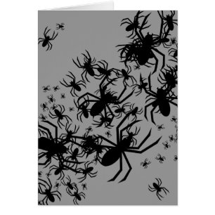 Un Ensemble D'Araignées