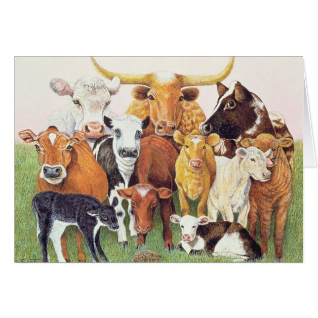 Un étranger étonnant (Devant horizontal)