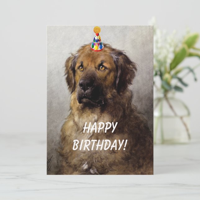 Un exploit de carte d'anniversaire. Leonberger d'O (Debout devant)