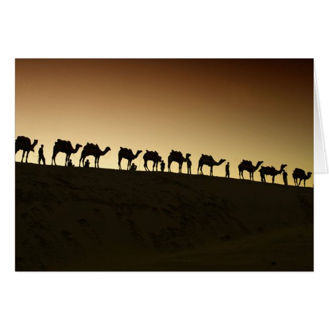 Un groupe de chameliers avec leurs chameaux (Devant horizontal)