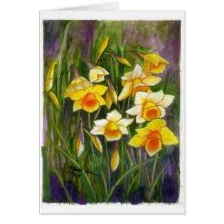 Un groupe de daffodiles