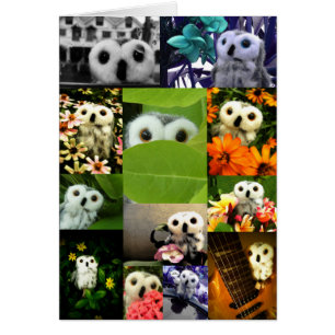 Un hibou appelé Ophélie