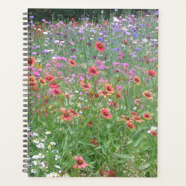Un jardin de Fleur sauvage (Devant)