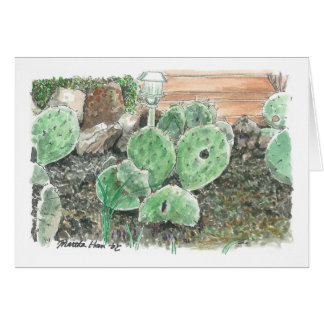 Un jardin privé de cactus