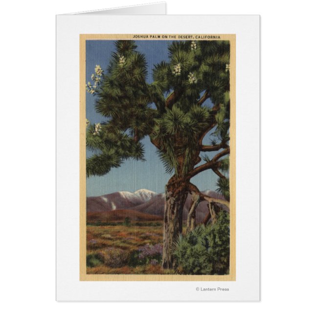 Un joshua palmier en fleurs dans le désert califor (Devant)