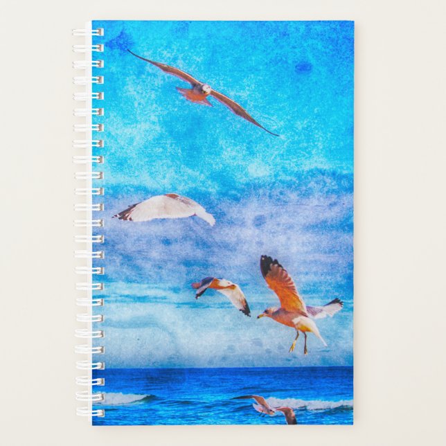 Un Jour Au Planneur (Devant)