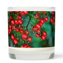 Un joyeux Noël "Berry"