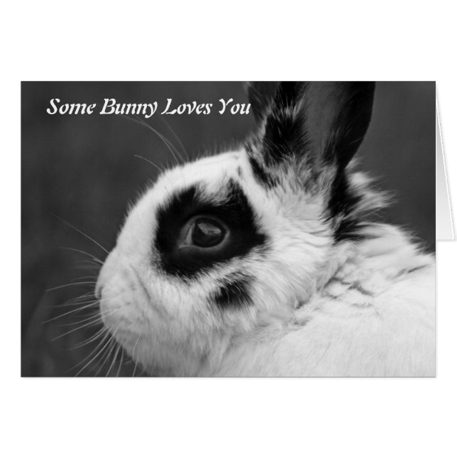 Un lapin aime ta carte (Devant horizontal)