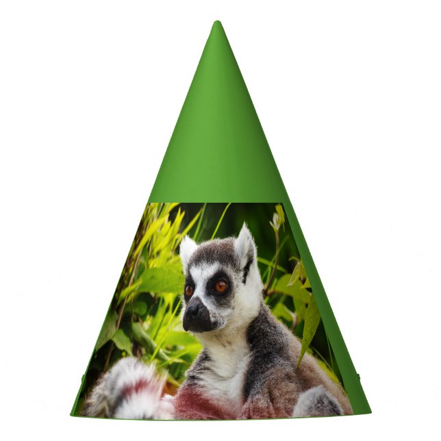 un lémurien de Madagascar avec un chapeau de fête (Devant)