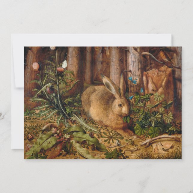 Un lièvre dans la forêt | Hans Hoffmann (Devant)