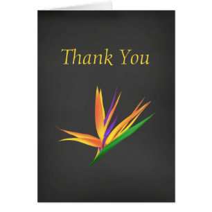 Un Merci élégant pour votre sympathie