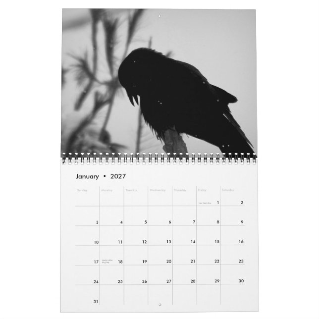 Un meurtre du calendrier 2015 de corneilles (Jan 2027)