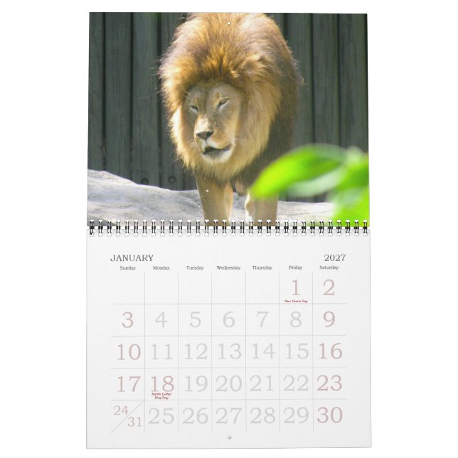 UN MONDE de calendrier d'ANIMAUX (Jan 2027)
