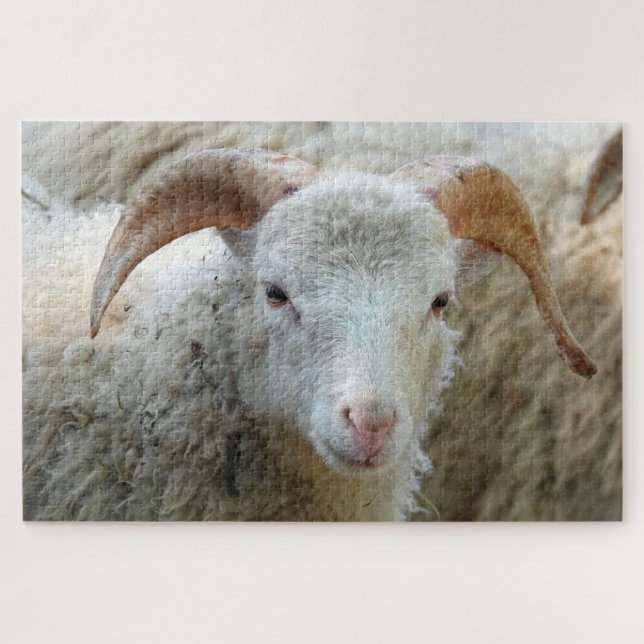 Un mouton à cornes Puzzle (Horizontal)
