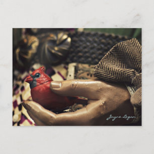 Un oiseau à la main, carte postale (photo couleur