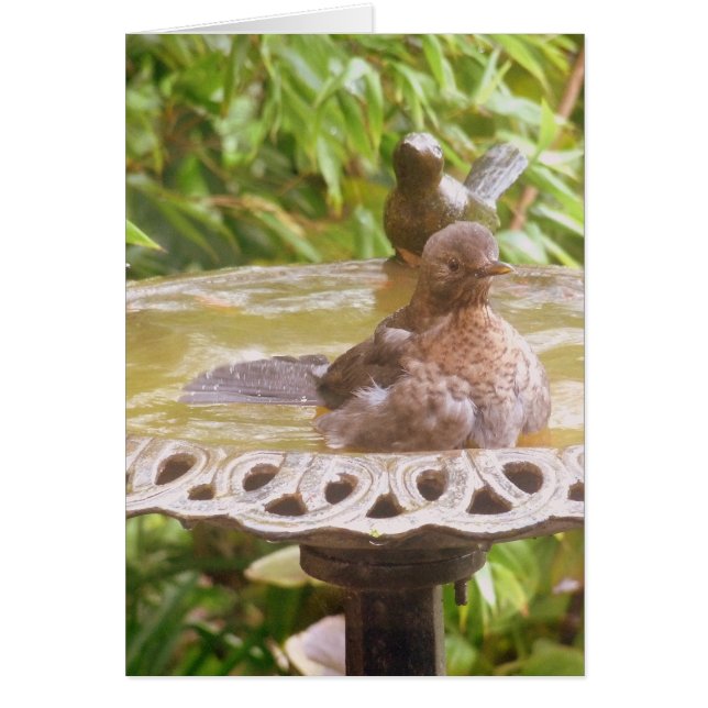 Un Oiseau Dans Le Bain (Devant)