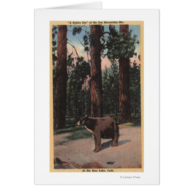 Un ours Brown dans les bois (Devant)