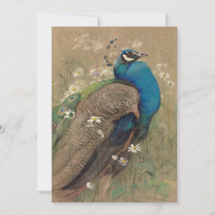 Un paon et des marguerites   Edwin John Alexander