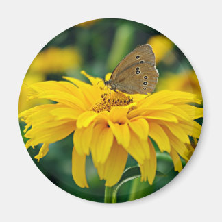 Un papillon sur un aimant à fleurs jaunes