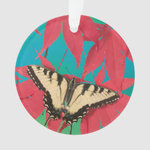 Un papillon swallowtail tigre canadien