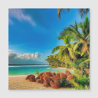 Un paradis tropical.