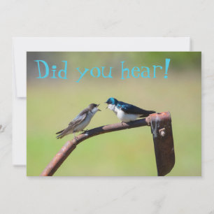 Un petit oiseau m'a dit - invitation personnalisab