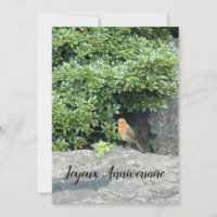 Un petit rouge-gorge