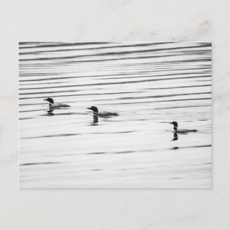 Un peu de chance - Carte postale