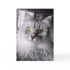 Un peu de magie carte d'anniversaire