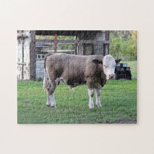 Un peu de taureau - Puzzle de la vie agricole (Horizontal)