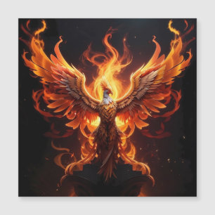 Un Phoenix renaît