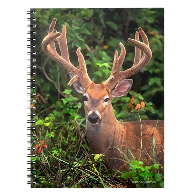 "Un prince carnet de forêt" (Devant)