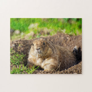 Un puzzle de petit chien de prairie à queue noire