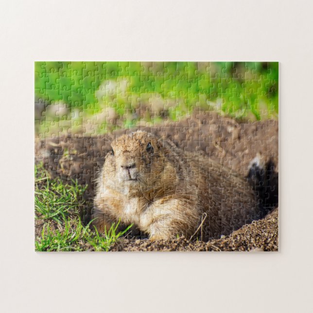 Un puzzle de petit chien de prairie à queue noire (Horizontal)